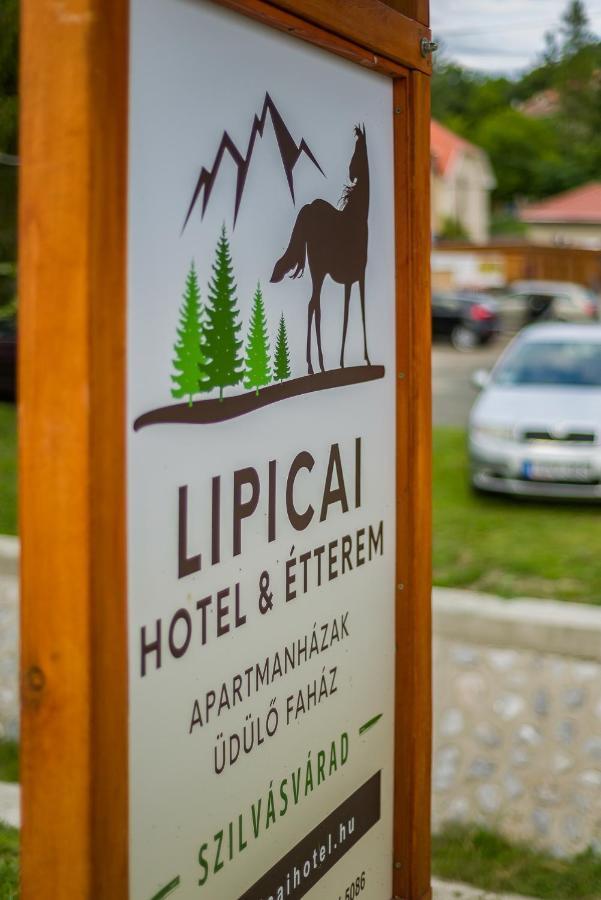 Lipicai Ifjusagi Szallo Szilvasvarad Luaran gambar